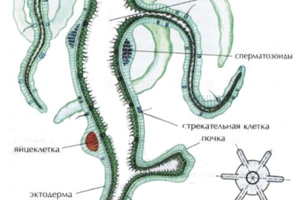 Кракен оригинальные ссылка в тор