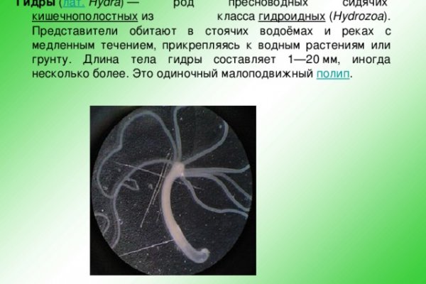 Кракен ссылка официальная