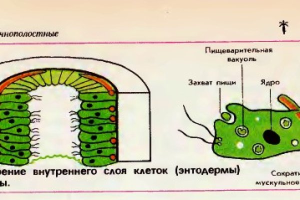 Как вернуть профиль в кракене