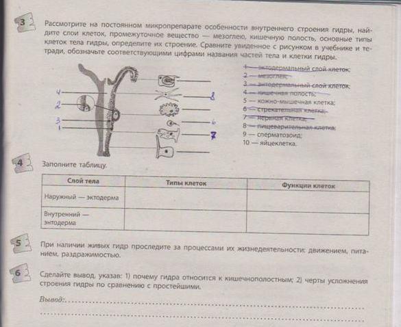 Как зарегистрироваться на кракене маркетплейс